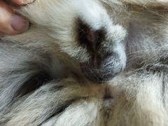 -美迦爱-牙专科·兔科·骨科诊疗中心(北苑店)