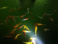 门面-千滋百味·醉江澜花园餐厅(街道口店)