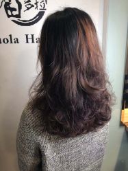 -东方麒麟·潘多拉SALON