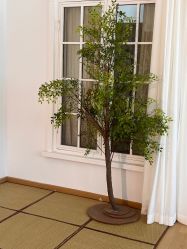 -十月孕记孕妈妈摄影