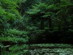 -虎跑公园