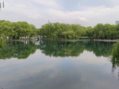 -百脉泉景区