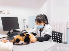 -特一安24小时宠物医院·骨科·中兽医
