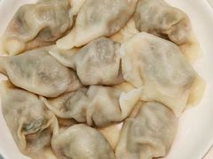 茴香猪肉水饺（小盘）-枫林饺子