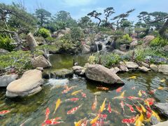 -罗红摄影艺术馆