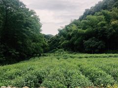 -杭州西湖风景名胜区-三生石