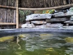 -天目湖涵田半山温泉