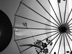 -深圳东方银座酒店·粤秀轩中餐厅