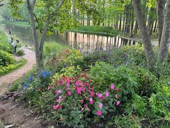 -上海共青森林公园