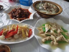 -明升萝卜汤