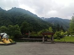 -卧龙自然保护区
