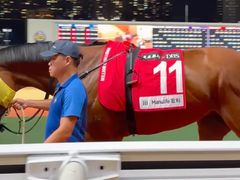 -香港赛马会双鱼河会所