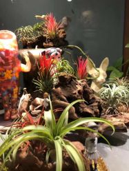 -周忆刺青原创设计定制