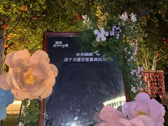 -西苑公园