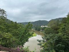 -南宁良凤江国家森林公园