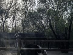 -秦皇岛野生动物园