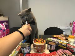 -卷心卷意·轻甜蛋糕(新光天地店)