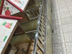 -上海大自然野生昆虫馆(东方明珠·爬宠昆虫探索中心)