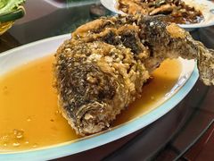 -巩本明鱼屋子