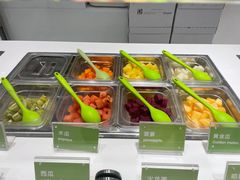 -Salud撒露欧洲冻酸奶(蓝色港湾店)