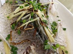 油盐蒸皖鱼-区海鸡场饭店(石壁店)