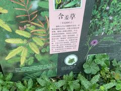 -国家植物园南园