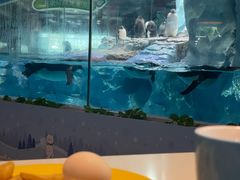 -帝企鹅自助餐厅•儿童岛•真企鹅(长隆企鹅酒店)