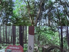 -洛阳白云山景区