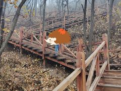 -大岭沟猕猴桃谷风景区
