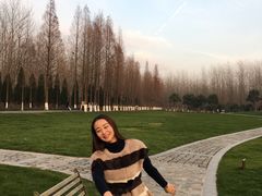 -合肥滨湖国家森林公园