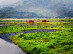 -腾冲北海湿地