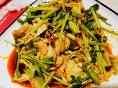 -众悦夜郎蛙美食餐厅(太原南街店)