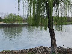 -七桥瓮公园
