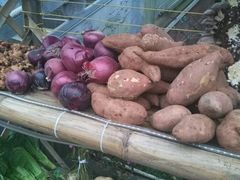 -楠柏弯休闲山庄(梨花溪店)