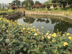 -龙寺生态园