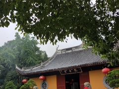 -龙华素斋(龙华路店)