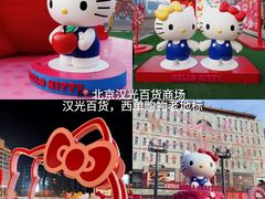 -毛辣果·红酸汤牛肉火锅&冰煮羊(西单店)