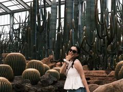 -南通洲际绿博园