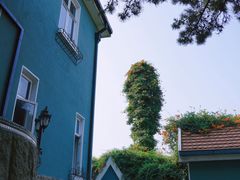 -八大关景区