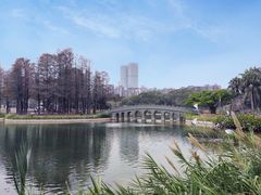 -四海公园(南山区)