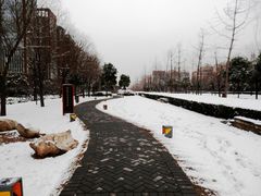 -唐城墙遗址公园