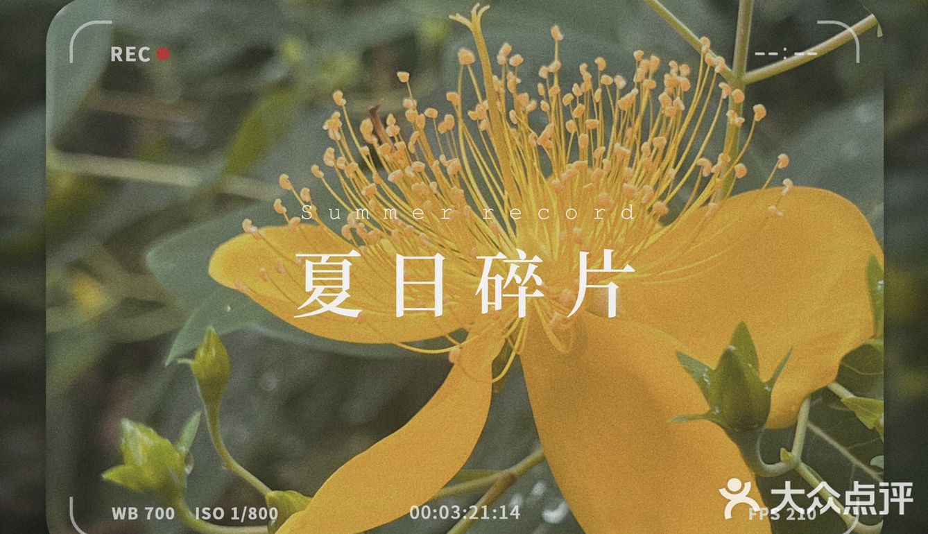 美食复苏日记｜逛超市，记得带杯咖啡鸭！