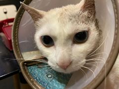 -Doors独立剧情密室(东门分店)