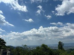 -风云岭森林公园