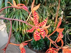 -北京植物园-展览温室