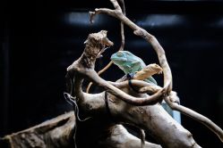 -Zoolung Zoolung动物主题公园(海信广场店)