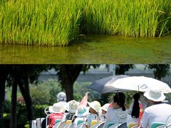 -光明小镇欢乐田园