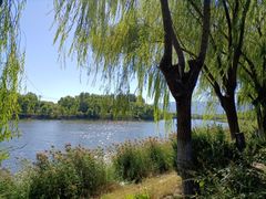 -亲兄弟真人CS团建拓展基地