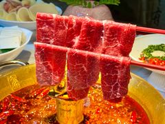 -小龙翻大江文化火锅(宽窄店)