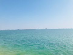 -北海金海湾红树林生态旅游区